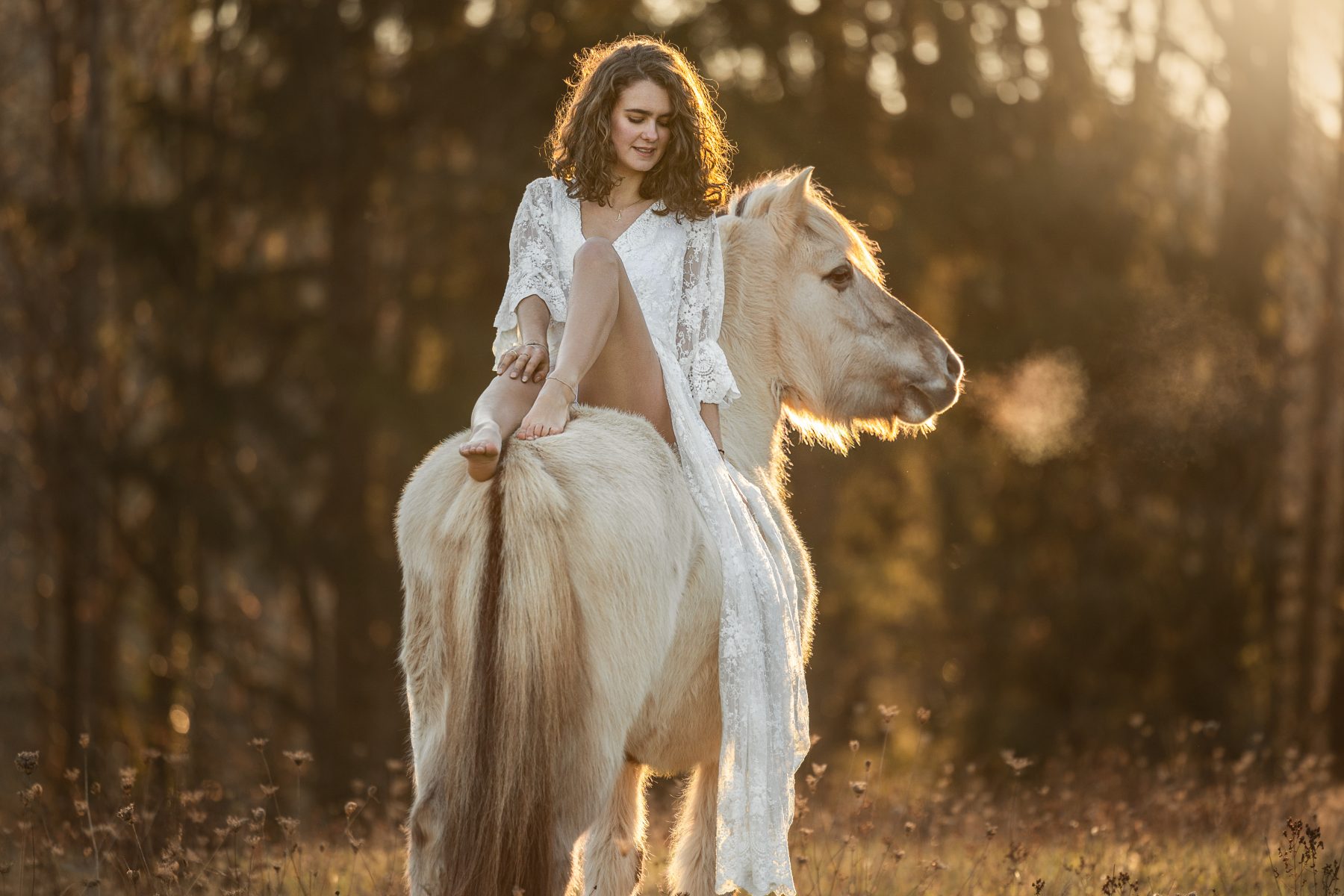 Norweger (Pferd) mit Frau in weißem Kleid